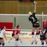 Ljungby-volley-02