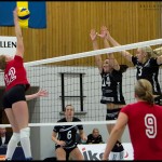 Ljungby-volley-14