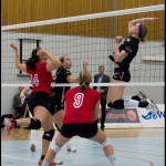 Ljungby-volley-16