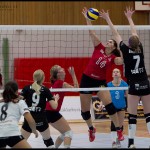 Ljungby-volley-17