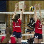 Ljungby_volley-Gislaved-03