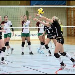 Ljungbyvolley-Sollentuna_fotograf_i_Ljungby_Fredrik_Skog_Brightphoto-03