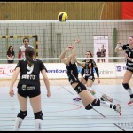 SM_Volleyboll_Ljungby-Katrineholm_06